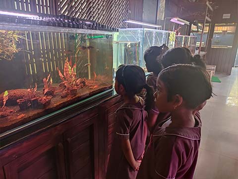 KG1 Visit to the Aquarium - 4
