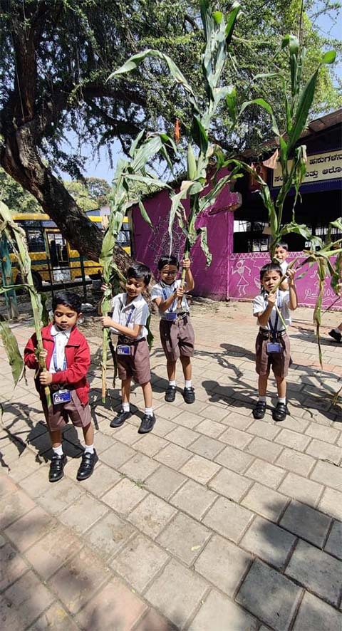 Grade 1 field trip to Gaushala - 10