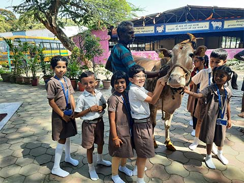 Grade 1 field trip to Gaushala - 4