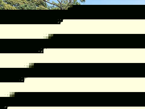 Grade 1 field trip to Gaushala - 6