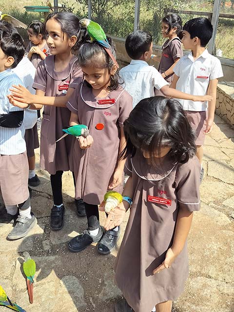 Kindergarten Picket Fence Farm Visit - 17