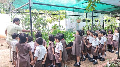 KG Plant Nursery Visit - 1