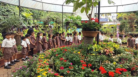 KG Plant Nursery Visit - 3