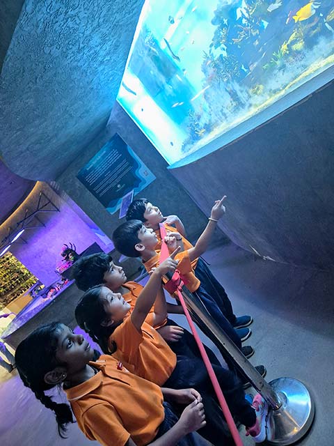 Montessori Aquarium Visit - 15