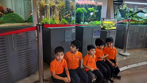 Montessori Aquarium Visit - 5