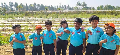  Montessori - Visit to a Strawberry Farm - 15