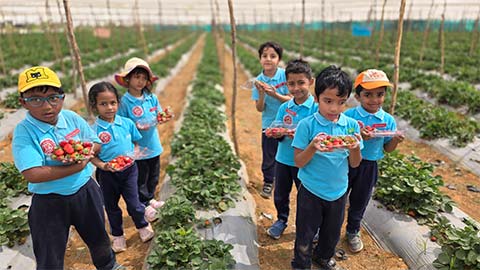  Montessori - Visit to a Strawberry Farm - 4