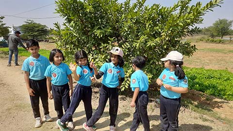  Montessori - Visit to a Strawberry Farm - 5