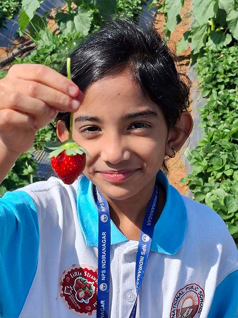 Grade 2 Field Trip - 2