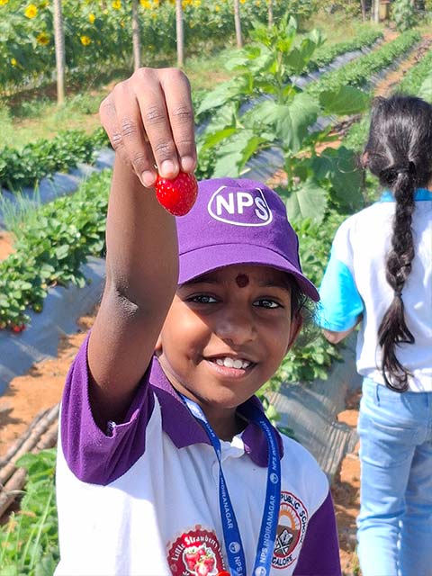 Grade 2 Field Trip - 3