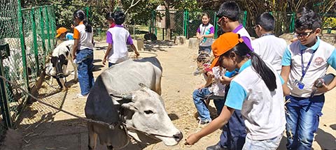 Grade 5 Field Trip - 2