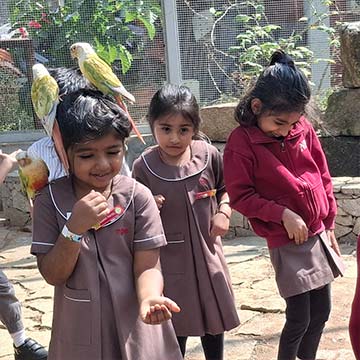 Kindergarten Picket Fence Farm Visit