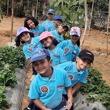 Montessori - Visit to a Strawberry Farm